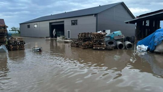 22 interwencje strażaków w Malborku i sąsiednich gminach. Straty i walka z żywiołem STRATY I WALKA Z ŻYWIOŁEM!