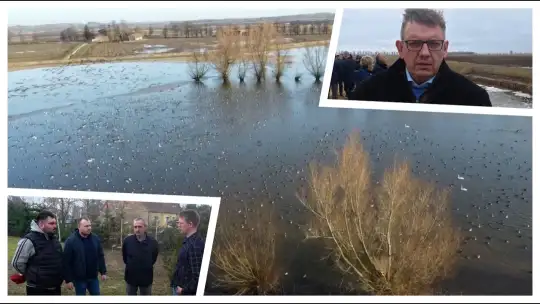 [WIDEO] Powiśle i Żuławy pod wodą. Rolnicy alarmują!  - To nie jest problem techniczny, to kwestia bytu i przetrwania