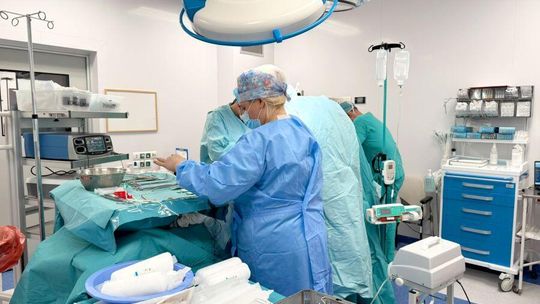Przeprowadzono pierwsze transplantacje w tym roku