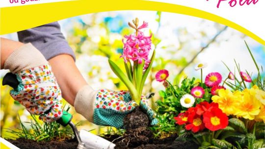 Wiosna zaczyna się w Starym Polu