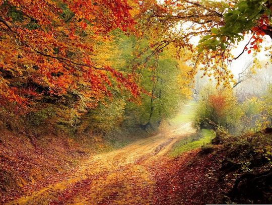 20.10.22 Każdy dzień jest dobry żeby coś uczcić albo świętować