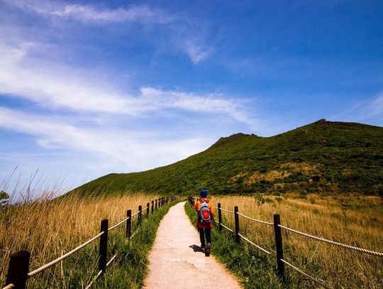 23 lipca 2025 r. - Ważny dzień w kalendarzu. Dzień Włoczykija