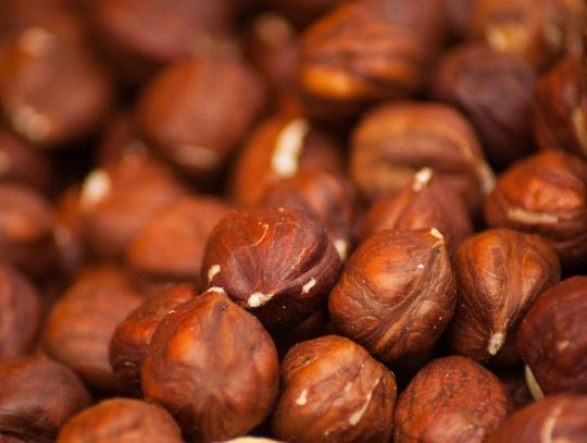 4 września 2025 r. - Ważny dzień w kalendarzu. Dzień Orzechów Makadamia