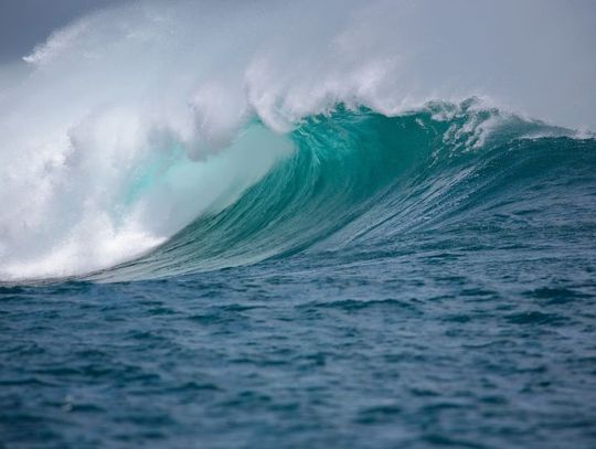 8 czerwca 2025 r. - Ważny dzień w kalendarzu. Zesłanie Ducha Świętego (Zielone Świątki)