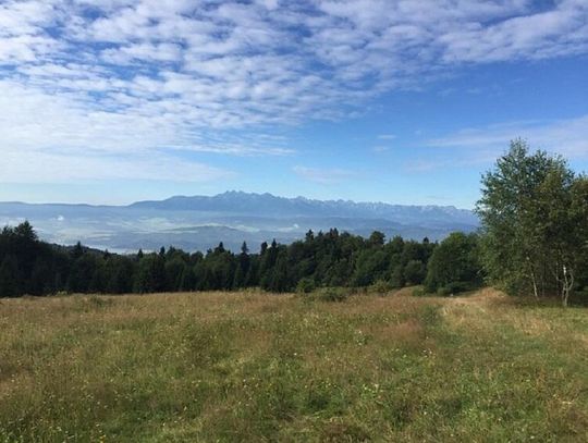 A może na wczasy w Gorce?