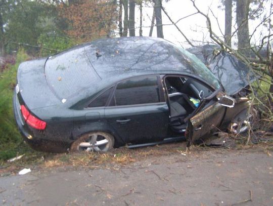 Audi uderzyło w drzewo