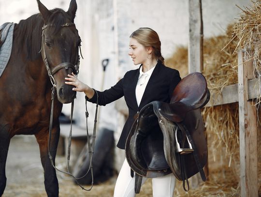 Derka – wszystko co musisz o niej wiedzieć!