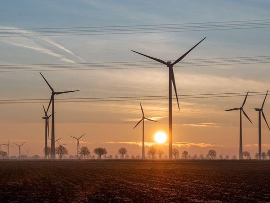 Dlaczego analiza środowiskowa jest ważna przy planowaniu inwestycji?