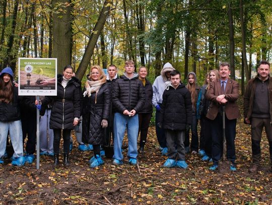 Elektryczny Las wyrósł w Malborku – nagroda za 20 ton elektroodpadów