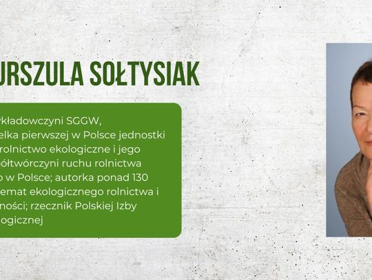 Euroliść – prawdziwe eko czy chwyt marketingowy? Ekspertka rozwiewa wątpliwości