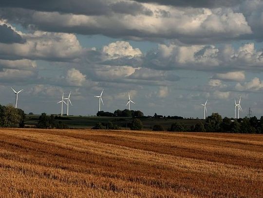 Farma niemieckich wiatraków w żuławskim krajobrazie