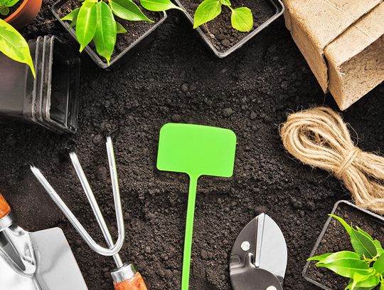 Gdzie kupić doniczki przemysłowe – kilka wskazówek