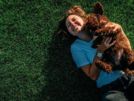 Gorące lato, wakacje i czworonożni przyjaciele – jak dbać o psa podczas upałów?