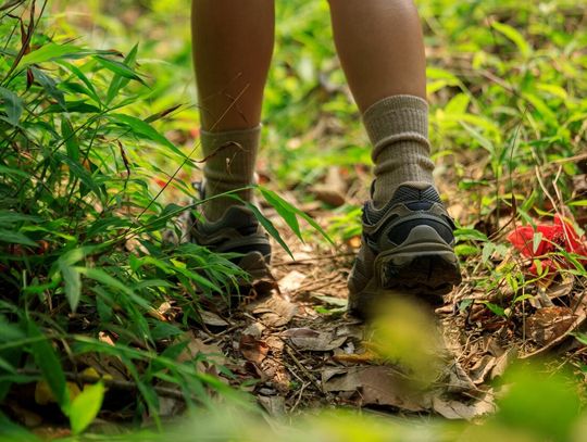 Jak działa ultradźwiękowy odstraszacz kleszczy podczas spacerów po lesie? Jak działa ultradźwiękowy odstraszacz kleszczy podczas spacerów po lesie?