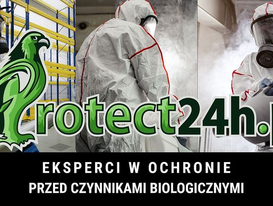 Jak przebiega deratyzacja Wrocław?