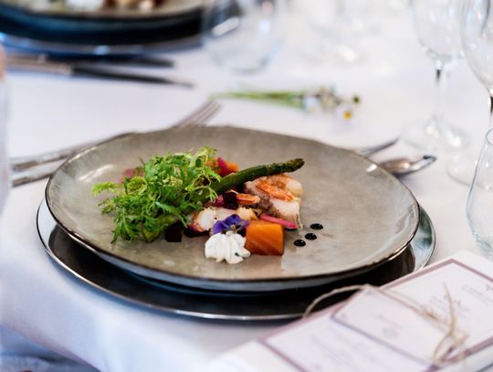 Jak wybrać zastawę do restauracji? Porcelana, kamionka czy szkło i co naprawdę kosztuje najmniej