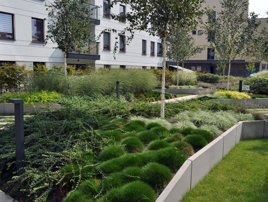 Jakie są korzyści i zalety zielonych dachów?