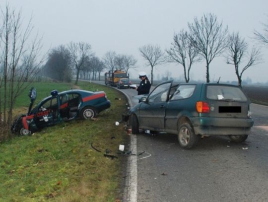 Lis wtargnął pod koła - polo zderzyło się czołowo z wozem strażckim 