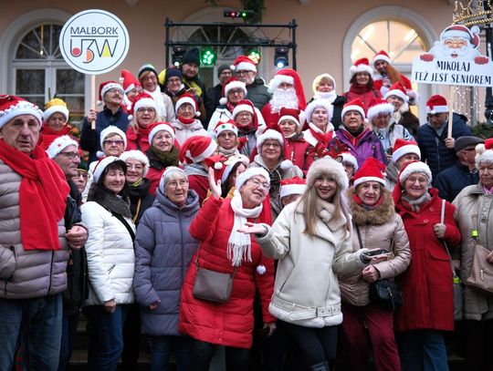 Malborskie Mikołajki. Miejska choinka już rozświetlona Malborskie Mikołajki. Miejska choinka już rozświetlona