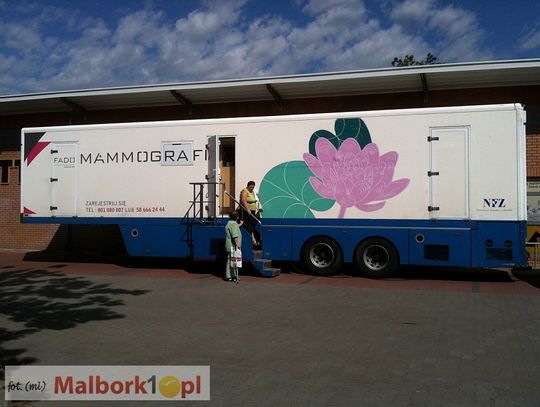 Mammobus odwiedzi Malbork