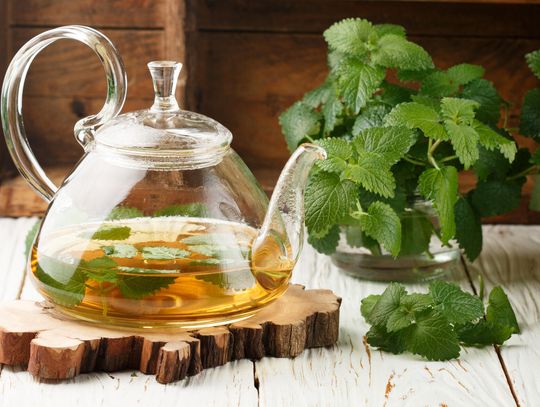 Melisa- jakie ma działanie i zastosowanie?