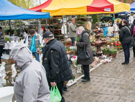 Miłośnikom roślin pogoda niestraszna