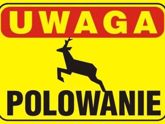 Obwieszczenie Burmistrza Miasta Malborka ws. organizacji zbiorowych polowań