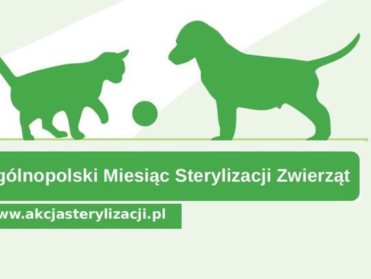 Ogólnopolska Akcja Sterylizacji