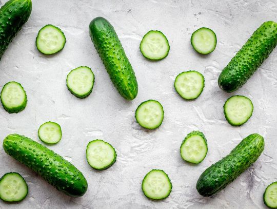 Ogórek gruntowy sałatkowy – propozycja do warzywnego ogrodu