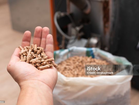 Pellet drogi i praktycznie nie do zdobycia. „Jak tylko się pojawi, znika od razu” Pellet drogi i praktycznie nie do zdobycia. „Jak tylko się pojawi, znika od razu”