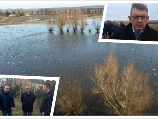 [WIDEO] Powiśle i Żuławy pod wodą. Rolnicy alarmują!  - To nie jest problem techniczny, to kwestia bytu i przetrwania