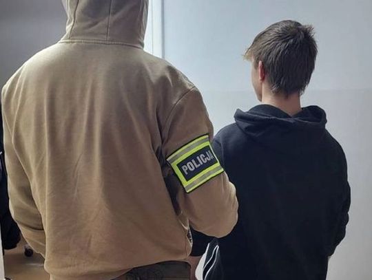 Seria drobnych kradzieży w mieście – sprawca odpowie przed sądem