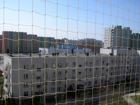 Siatki balkonowe a estetyka elewacji – jak połączyć bezpieczeństwo z wyglądem