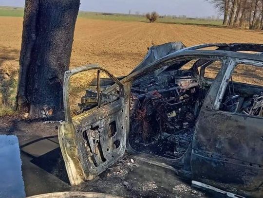 Śmierć 60-letniego kierowcy. Renault uderzyło w drzewo