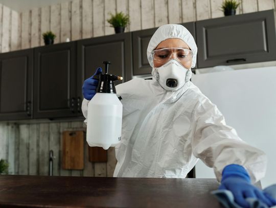 Specjaliści z branży DDD: Jak skutecznie zwalczać pluskiew?