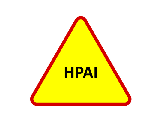 Stare Pole uznane za obszar zapowietrzony wysoce zjadliwą grypą ptaków (HPAI)