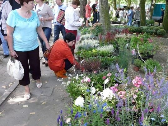 Staropolskie jesienne targi po raz dwudziesty