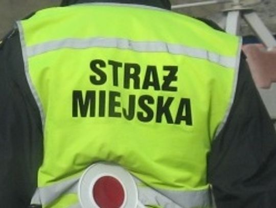 Strażnicy uratowali niedoszłą samobójczynię