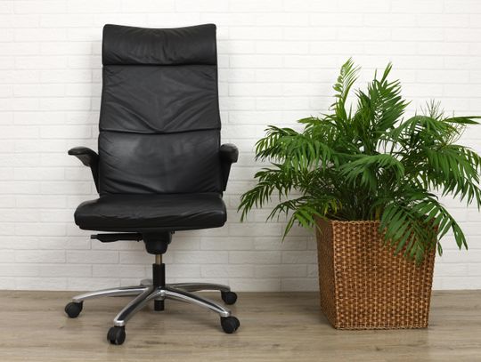 Szkolenia z zakresu ochrony środowiska – dla kogo są najlepszym wyborem?