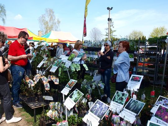 Tłumy przyjechały na staropolskie targi