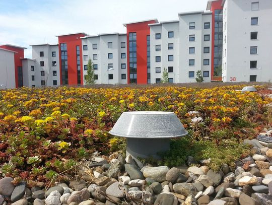 Trawnik na dachu — czym są zielone dachy?