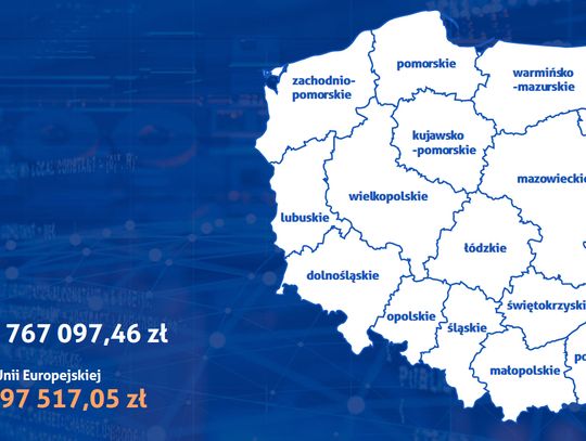 Wybory, czyli sprawdź Unię w swojej gminie 