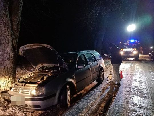 Wyprzedzając spowodował kolizję i uderzył w drzewo