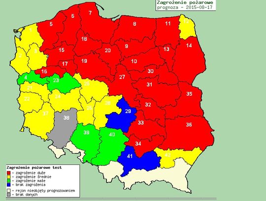 Zakazu wstępu do lasów nie ma