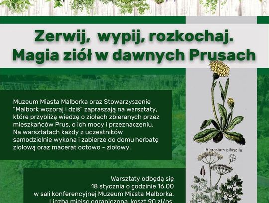 Zerwij, wypij, rozkochaj. Magia ziół w dawnych Prusach