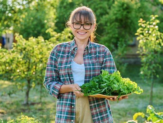 Żywność EKO różni się od tej masowej wszystkim. Proces „od pola do stołu” to zupełnie inny rodzaj produkcji rolnej