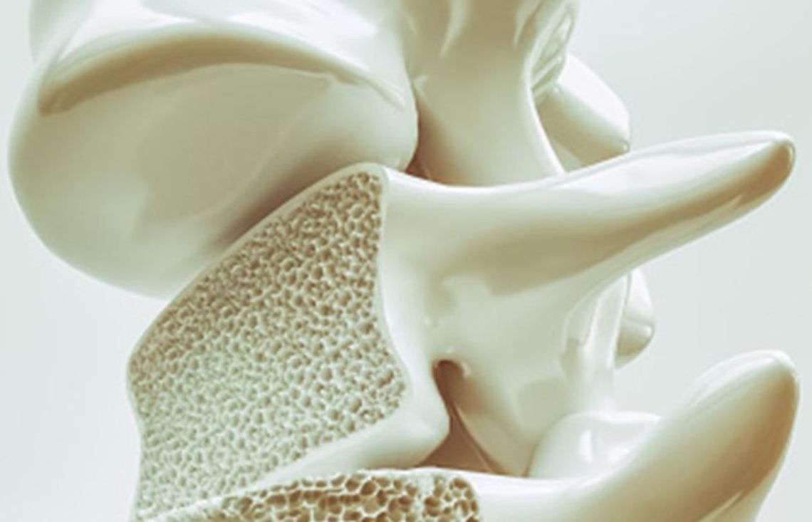 24 czerwca 2025 r. - Ważny dzień w kalendarzu. Światowy Dzień Chorych na Osteoporozę