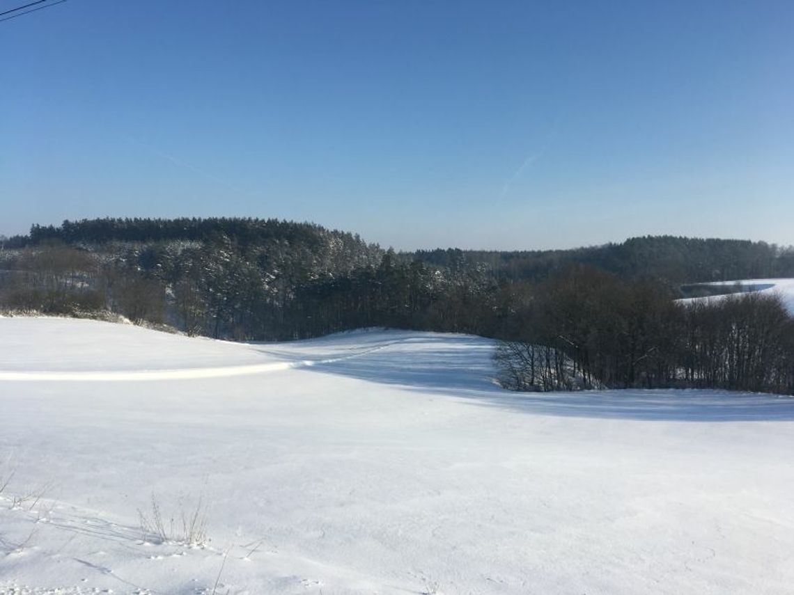 26.01.2023 Każdy dzień jest dobry żeby coś uczcić albo świętować