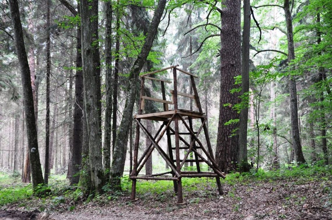 3.11.2023 - Ważny dzień w kalendarzu. Święto Myśliwych - Dzień Św. Huberta 3.11.2023 - Ważny dzień w kalendarzu. Święto Myśliwych - Dzień Św. Huberta