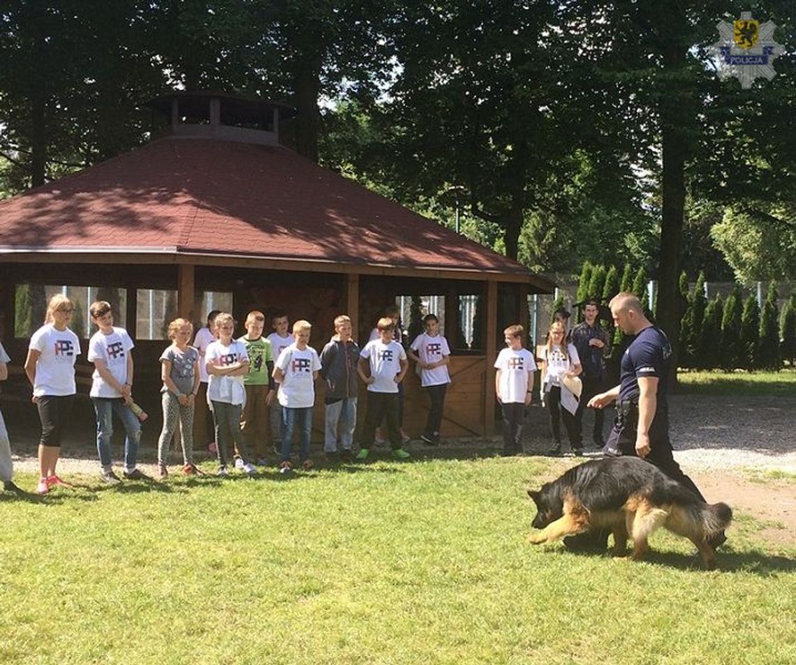 &quot;Bezpieczne wakacje&quot; akcja malborskiej policji